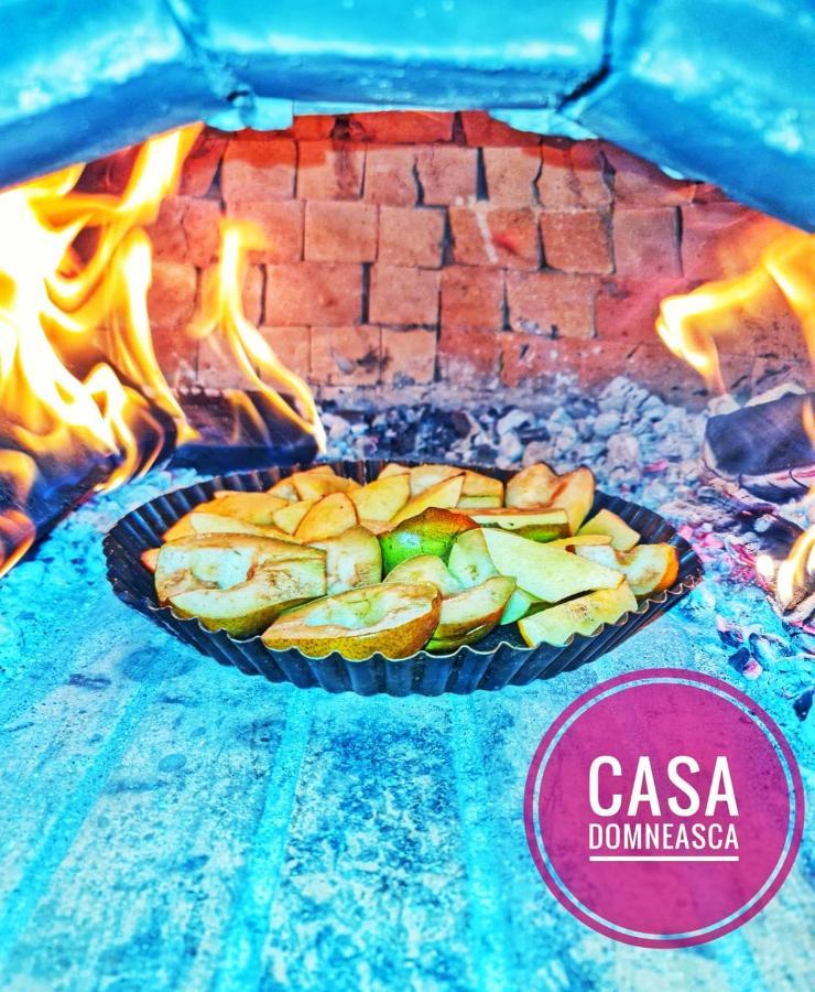 Casa Domneasca Villa Baia de Fier Bagian luar foto