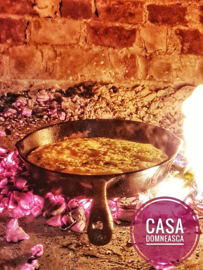 Casa Domneasca Villa Baia de Fier Bagian luar foto