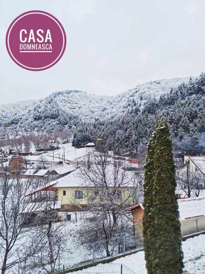 Casa Domneasca Villa Baia de Fier Bagian luar foto