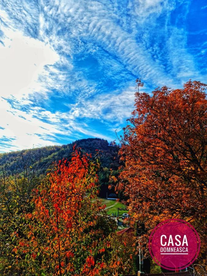 Casa Domneasca Villa Baia de Fier Bagian luar foto
