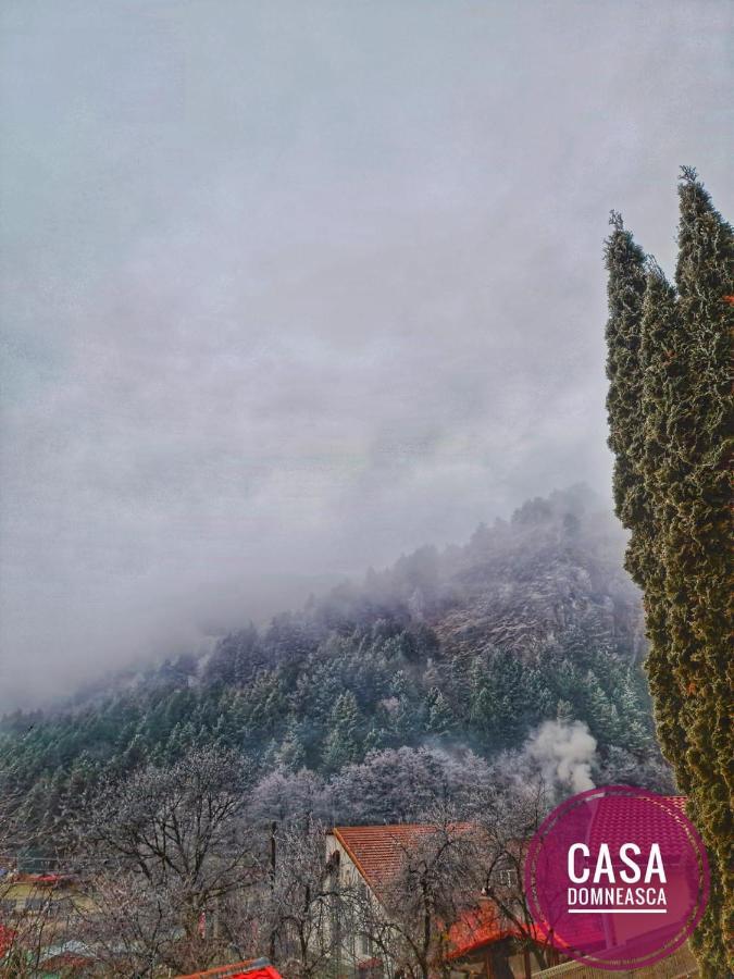 Casa Domneasca Villa Baia de Fier Bagian luar foto