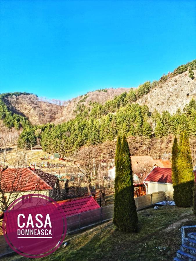 Casa Domneasca Villa Baia de Fier Bagian luar foto