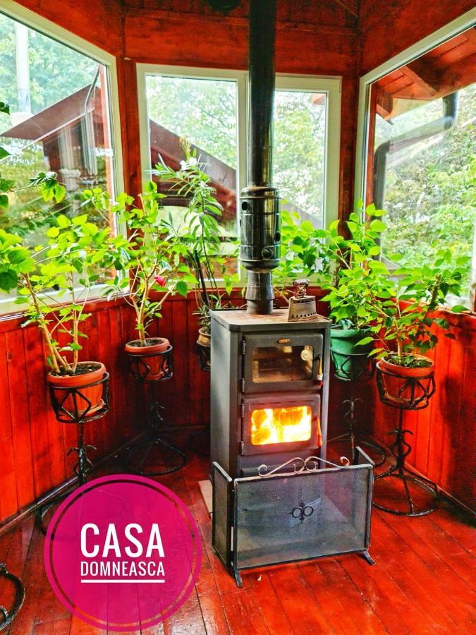 Casa Domneasca Villa Baia de Fier Bagian luar foto