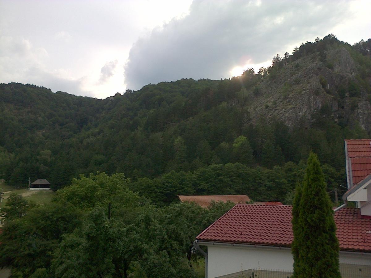 Casa Domneasca Villa Baia de Fier Bagian luar foto